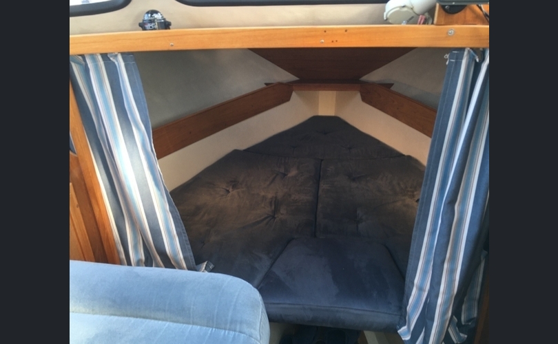 Albatross 870-kuva-13